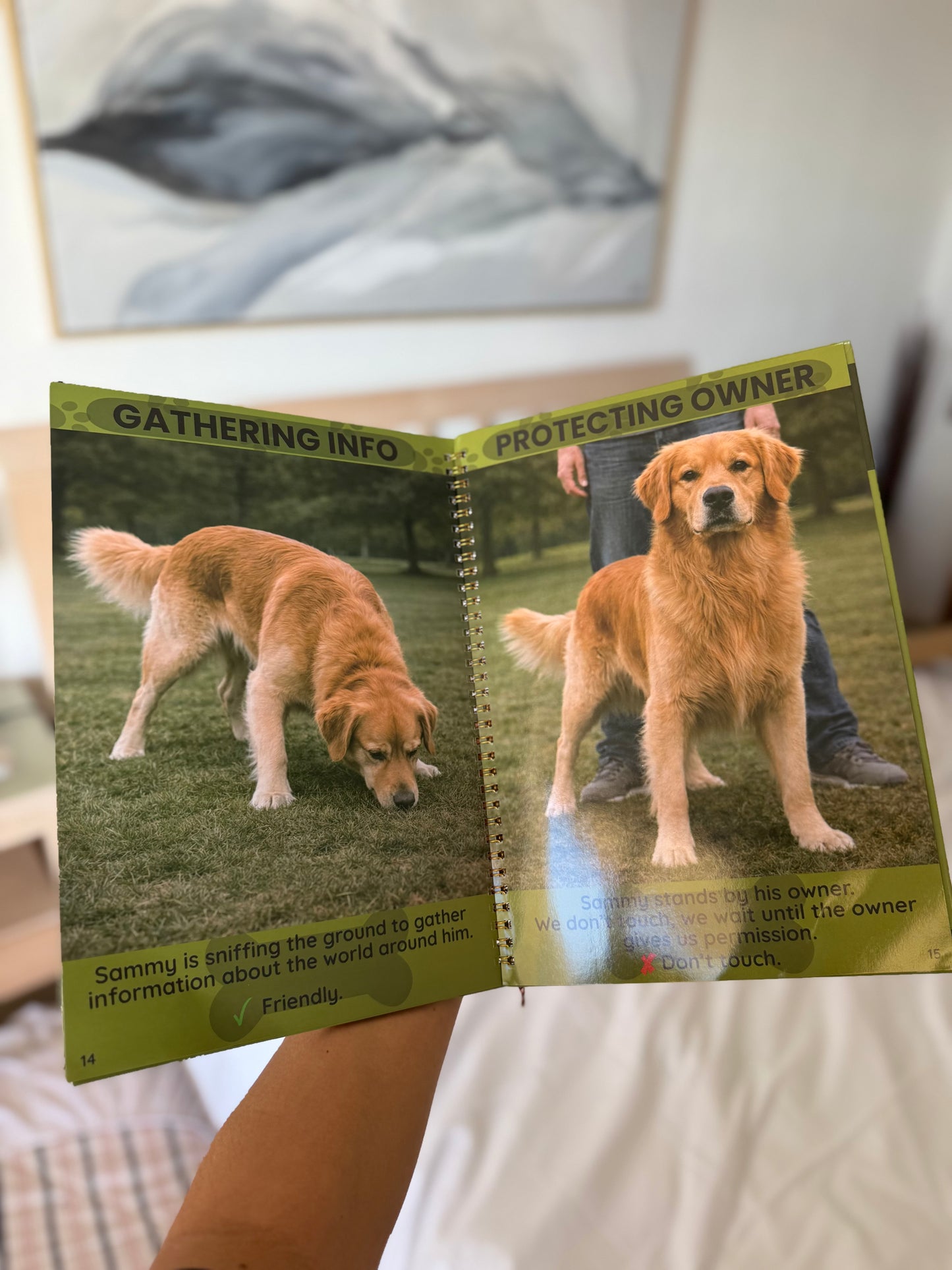 How to read a dog's body language: guide for children + free interactive flashcards