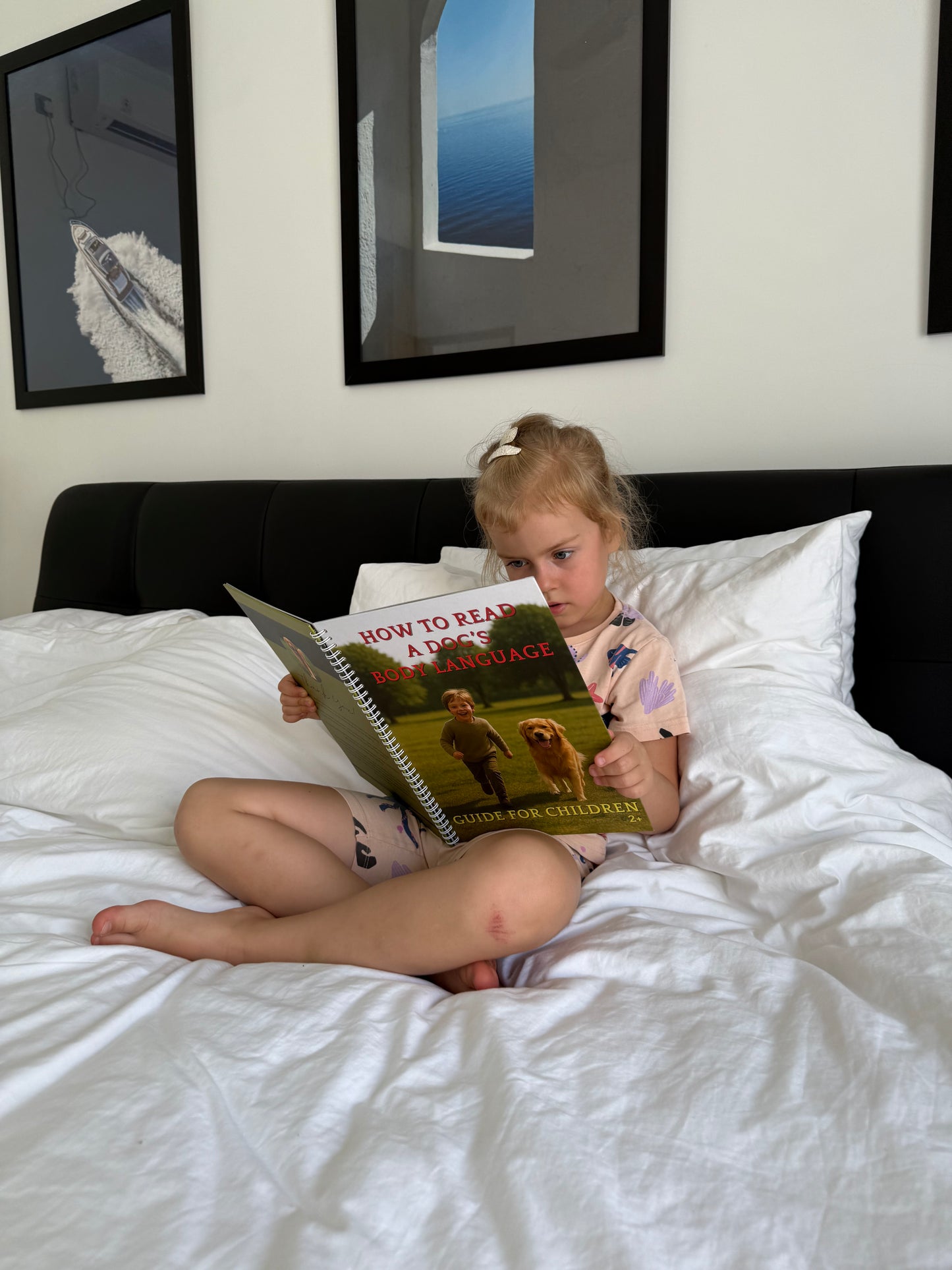 How to read a dog's body language: guide for children + free interactive flashcards