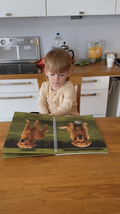 How to read a dog's body language: guide for children + free interactive flashcards