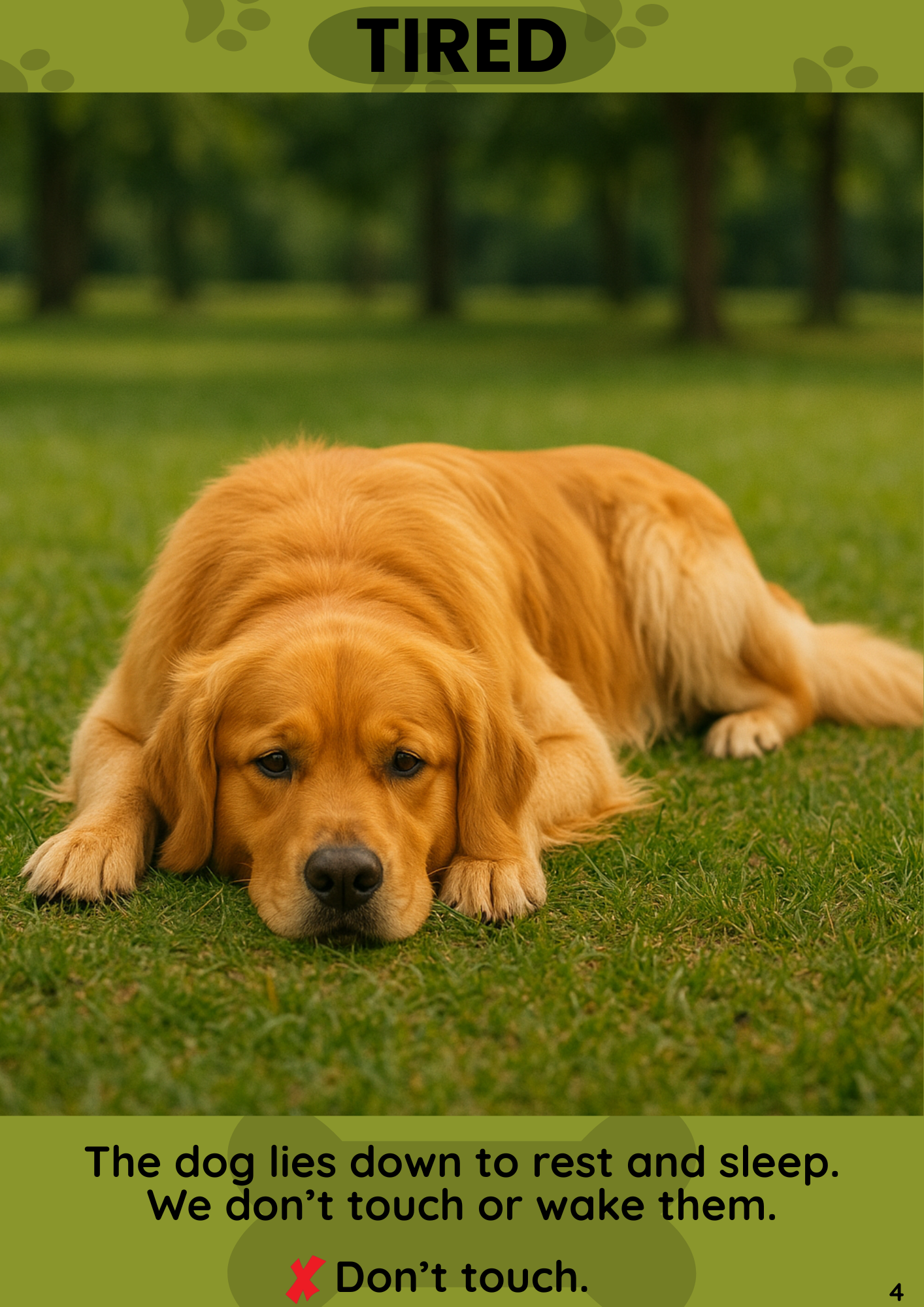 How to read a dog's body language: guide for children + free interactive flashcards