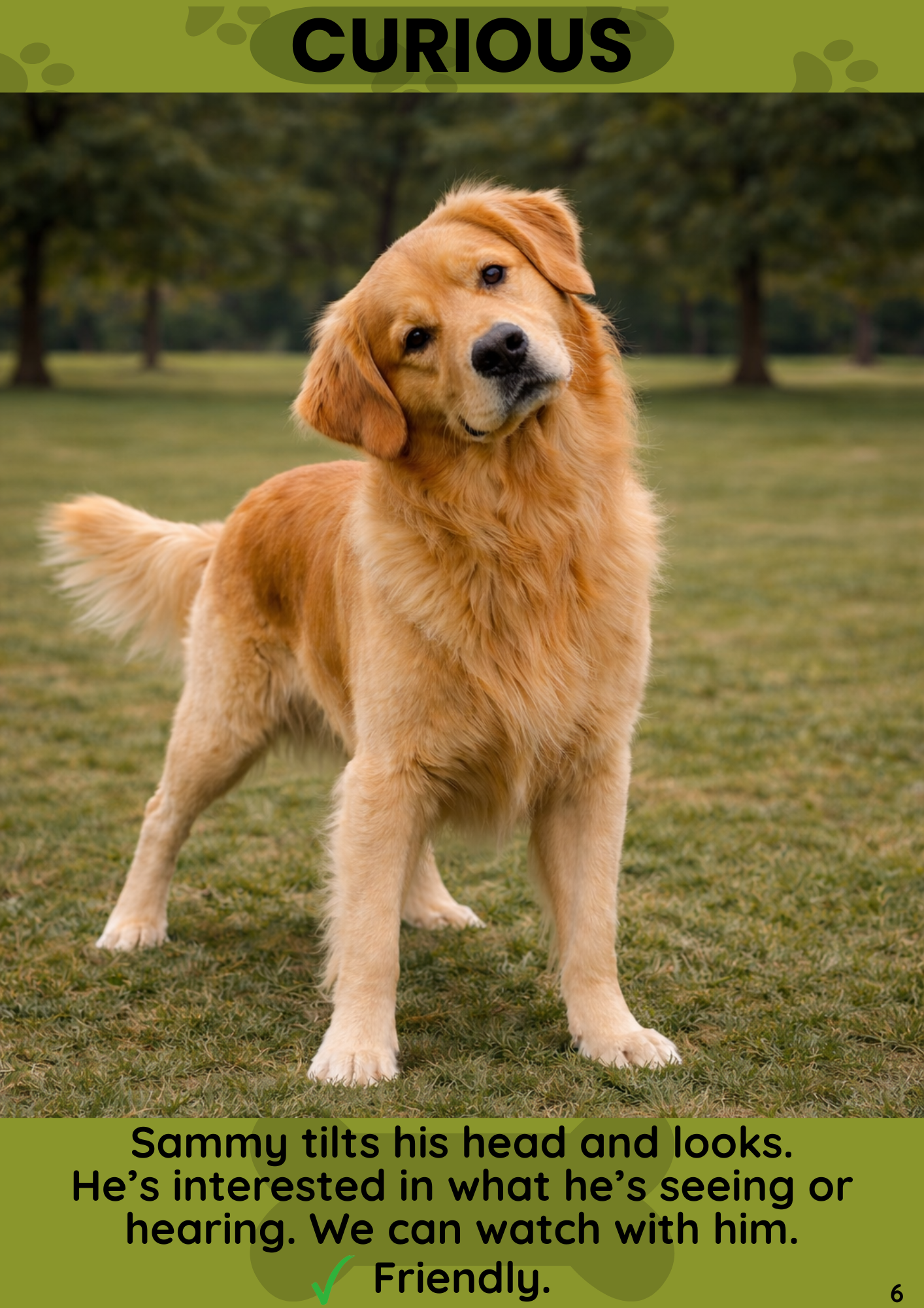 How to read a dog's body language: guide for children + free interactive flashcards